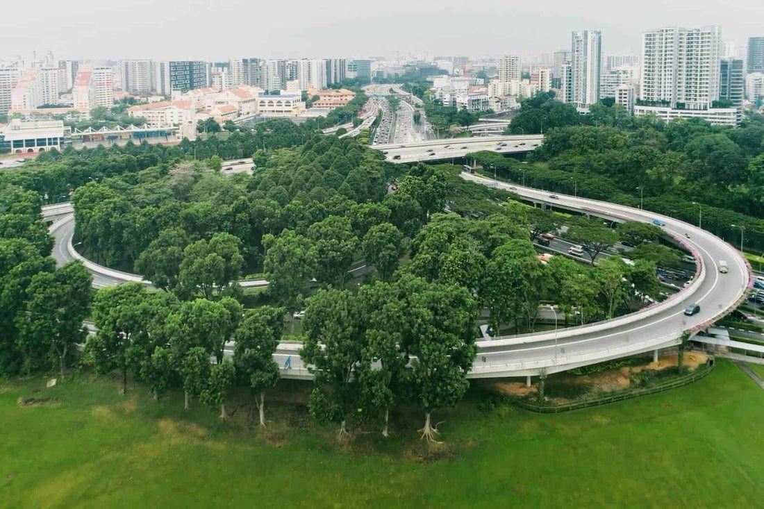 Singapore Green Plan 2030