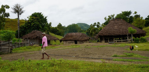 PACIFIC GREEN TRANSFORMATION PROJECT